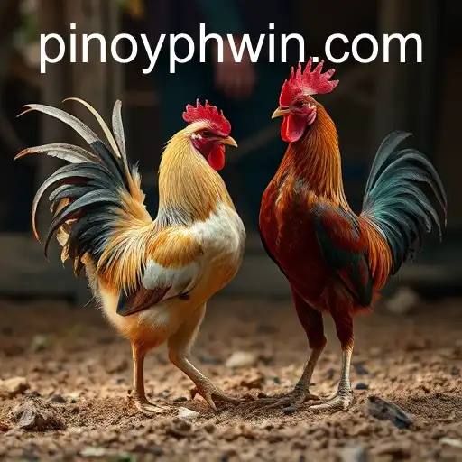 The Complex World of Cockfighting: A Historical and Cultural Perspective